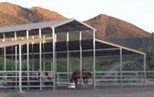 Open Plan Steel Horse Shelter