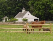 Country Outbuildings