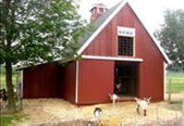 Small Pole-Barn for Pet Goats