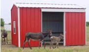 Small Animal Shelter
