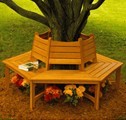 Tree Bench