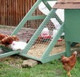 Chicken Coop